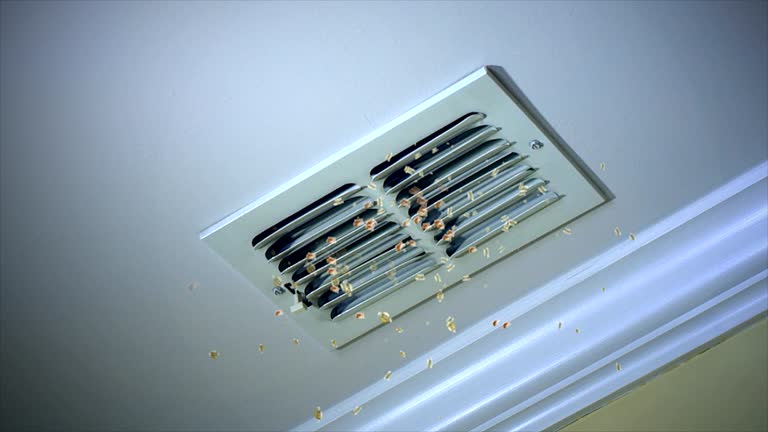 Best Duct Cleaning for Homes  in Washgton, IN